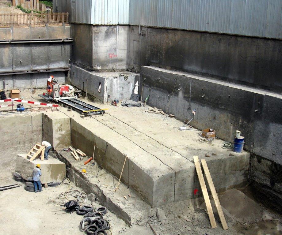 Extraction de molasse du lac au jardin Botanique de Genève